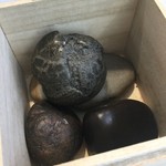 石に見せたグージュール