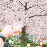 Namaramunikusemmontenramuya - 桜と昼酒
