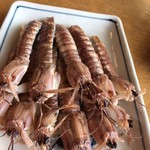 まるは食堂旅館 - 