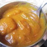 オーガニックスパイスハウス - 野菜のカレー