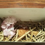 傳 - (2017年4月　訪問)あら桜♪