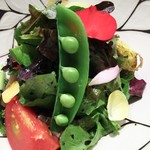 傳 - (2017年4月　訪問)定番サラダ。