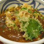 釜揚げ饂飩 唐庵 - カシワ天カレーうどん