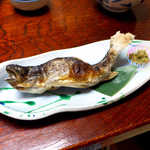 法師温泉 長寿館 - 岩魚の塩焼きにふき味噌。部屋食であっても、きちんと温かい状態で供される