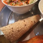 DIYO スープカレー＆ネパールカレーレストラン - パパダ
