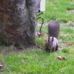 和食 六郎 - 写真が難しい