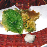 Kouyoukan - 夕食（山菜の天ぷら）