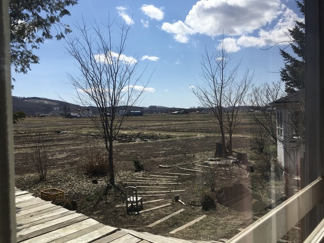 今年の営業は今月いっぱいとなっていたので、ランチを食べに行きました。 : cacicoの写真