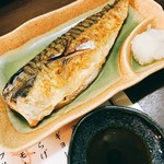 駅中食堂 - 塩サバ単品