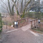 亀の井別荘 - 霧の金鱗湖を散策