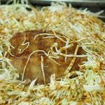 大木屋 - メンチカツ