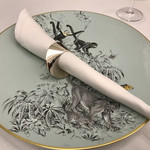 Grand rocher - 「赤道下のスケッチ」動物たちの描かれたエルメス
      PHILIPPIのナプキンリング