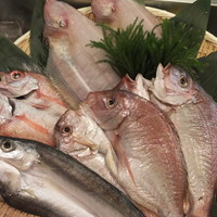 旬魚の一夜干し