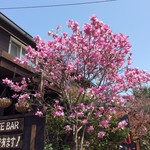 ダイニングスペース 2002 ダオ - 