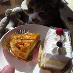 だんらん食堂 - 150円