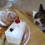 だんらん食堂 - 