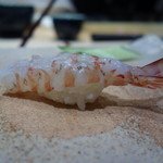 天寿し - 車海老　半茹で