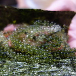 天寿し - 鉄火巻き・海ブドウ