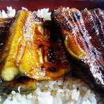 Unagi Matsukura - 