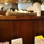 コメダ珈琲店 - 