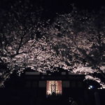 村上製パン所 - 2017.4.9安国寺にて