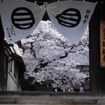 村上製パン所 - お世話になりました。＆ありがとうございました!!