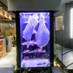 旬熟成hakko - 発酵熟成庫