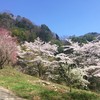 峠の茶屋