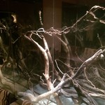 個室と肉バル enishi - 