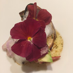 ル スプートニク - 