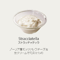 ストラッチャテッラ 100g