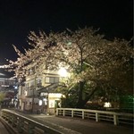 箱根湯本地下厨房　一心十色 - 綺麗な夜桜