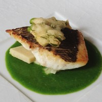フランス料理グルメ - Bコース 5,700円 真鯛筍ワサビソース