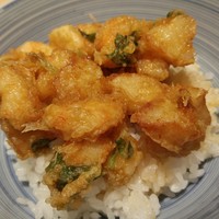 てんぷら山の上 Ginza - 天丼