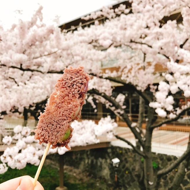 越後屋 - 能代（和菓子）の写真