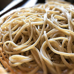 手打そば うどん あわ家 頌庵 - 