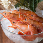 『千住の海老料理専門店』Shrimp Dining EBIZO 北千住 - 