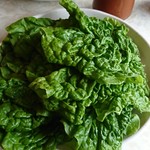 焼肉ハウス 明洞 - チシャ菜：千屋Bコース