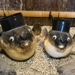 山田屋 - ふぐ提灯のオブジェ