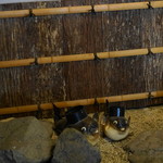 山田屋 - 店内入り口