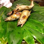 くろぎ - 大野川鮎の塩焼き