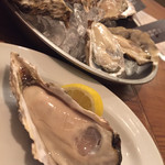 OysterTable - 