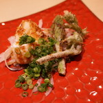 味あら井 - 白子と蕗の薹の天ぷら