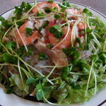 ミュン - 春雨サラダ