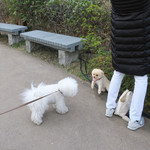 Mr.FARMER -  ママは桜に夢中なのよ〜♡