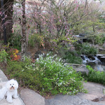 Mr.FARMER - 枝垂れの下で一枚