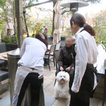 Mr.FARMER - なかなか点きません・・