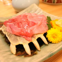 料亭 やまさ旅館 - すっぽんのお刺身