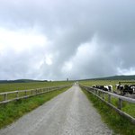 王ヶ頭ホテル - 高原のなかの道路　遠く左手に美しの塔が見えてます。