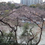 珈琲館 - 北の丸公園